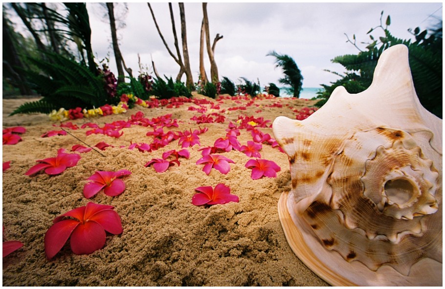 dark pink plumeria flower place in the sand on the aisle way for the bride